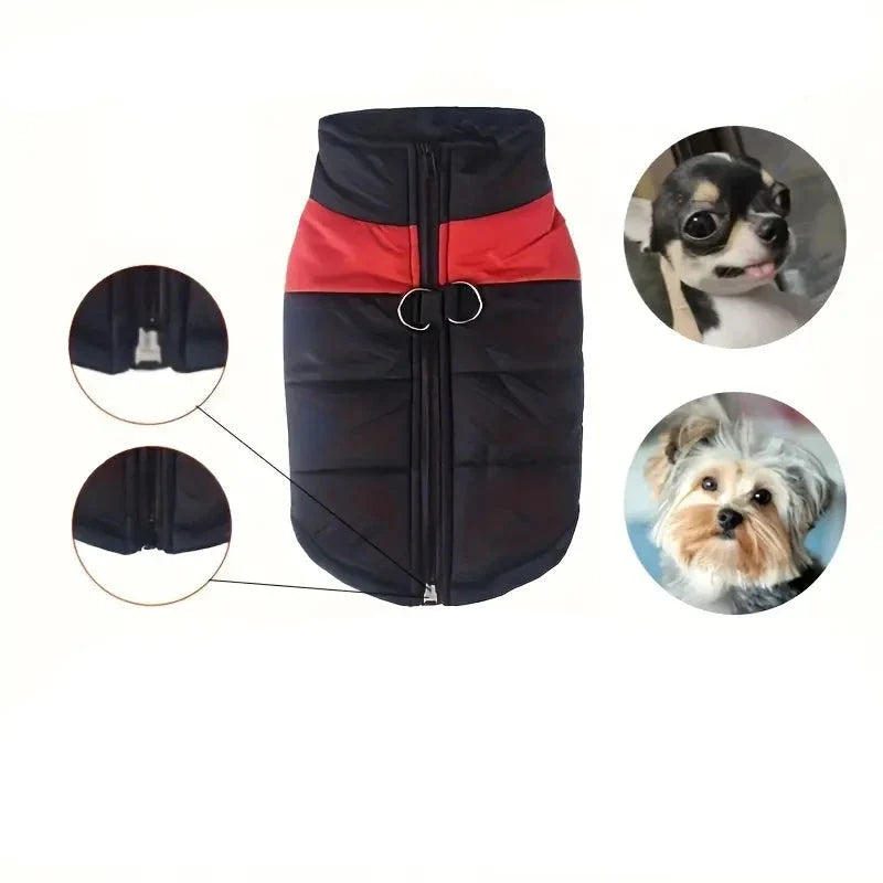 Wasserdichter Hundemantel mit Rückenreißverschluss