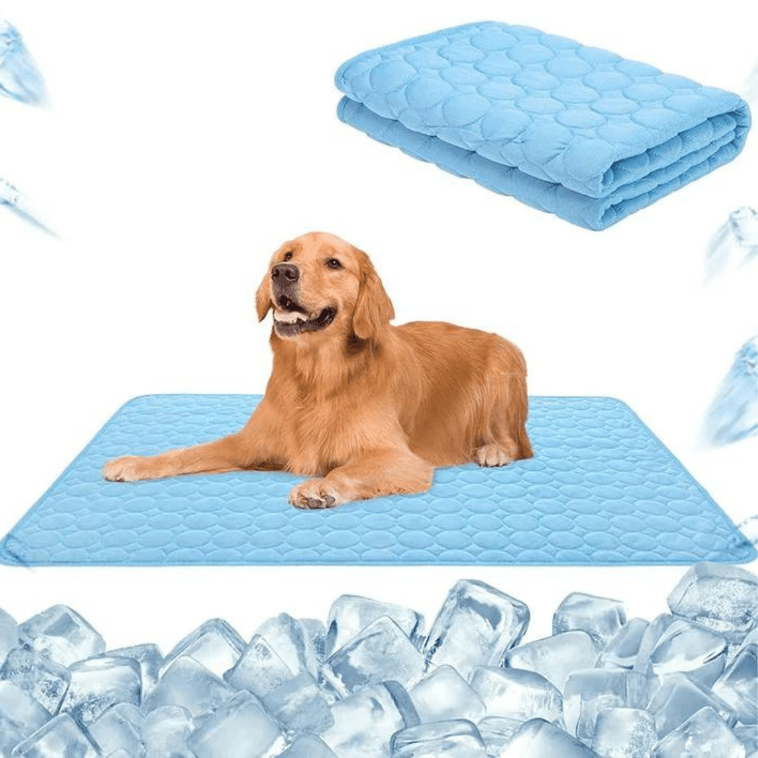 Erfrischende und sichere selbstkühlende Matte für Hunde