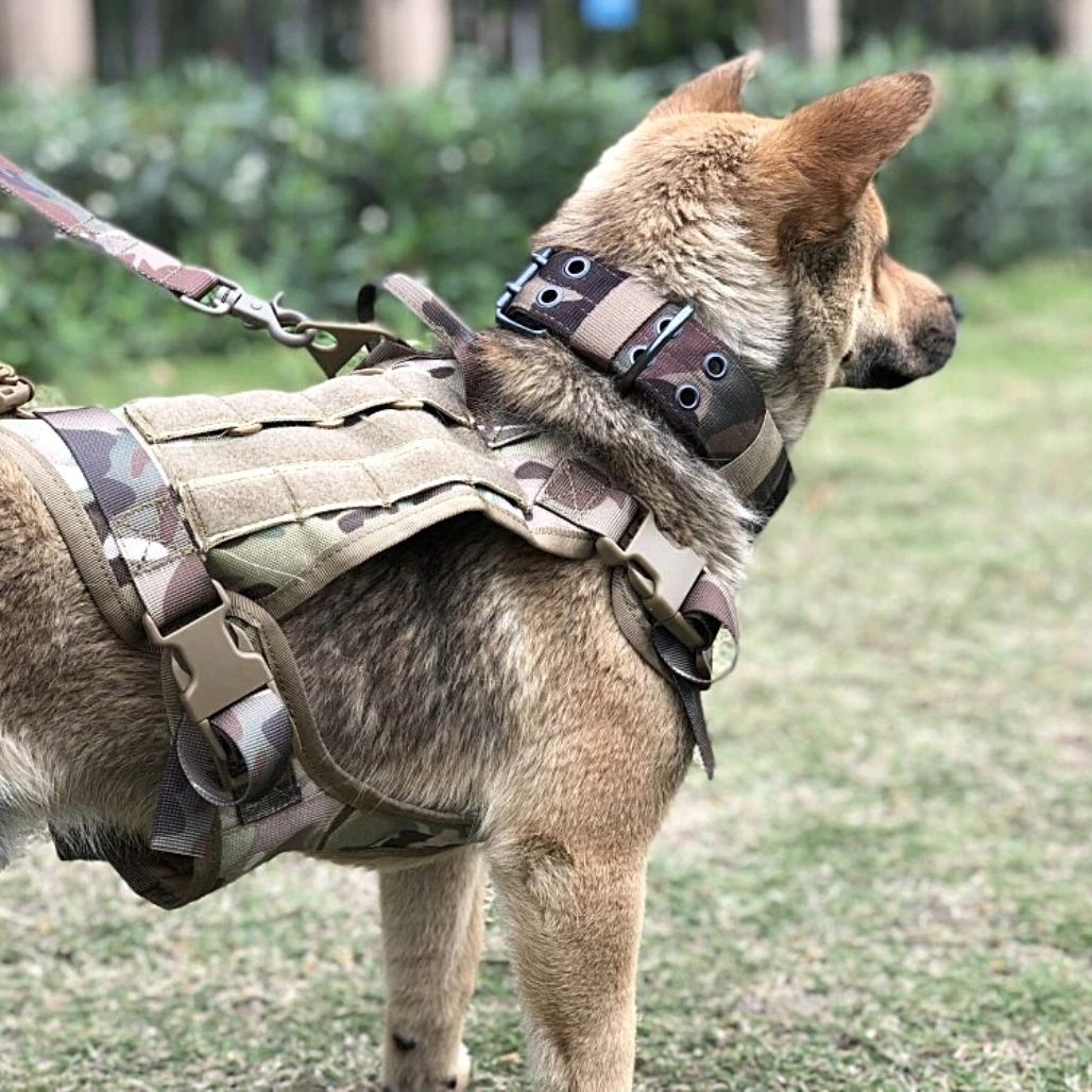 Verstellbares taktisches Sicherheitsgeschirr für Hunde für ultimativen Komfort und Sicherheit