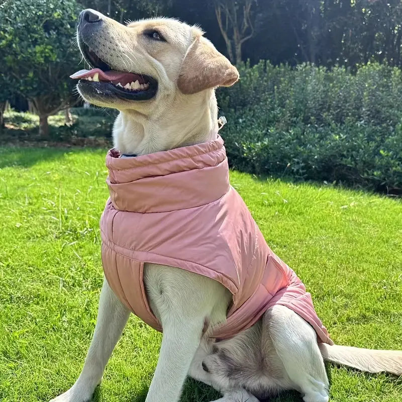 Optimaler Fußschutz für Haustiere für ultimativen Komfort und Sicherheit