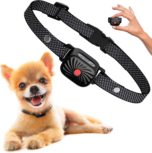 Bequemer Anti-Urinalgürtel für kleine Hunde