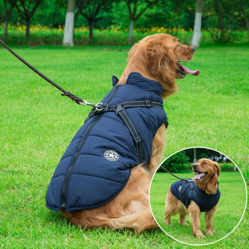 Luxus wasserdichter Hundemantel mit gemütlicher Isolierung für zusätzliche Wärme