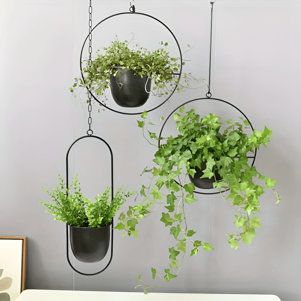 Caelessa - Schlanker und eleganter Wandpflanzer für ein modernes Interieur