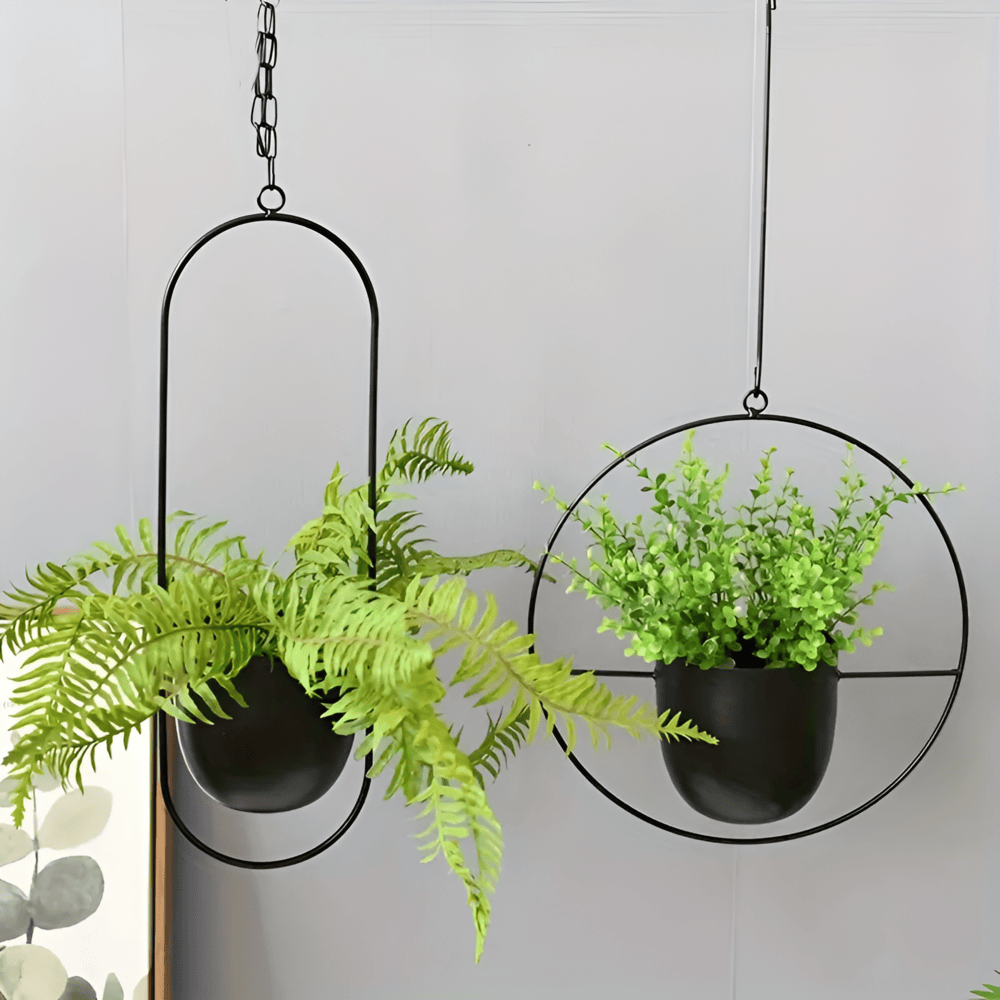Caelessa - Schlanker und eleganter Wandpflanzer für ein modernes Interieur
