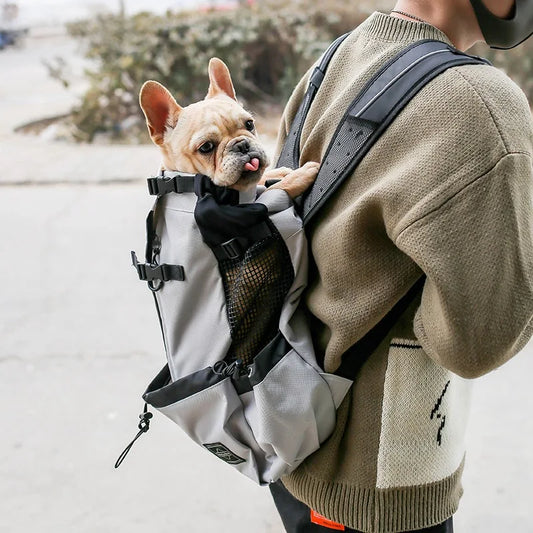Luxuriöse Reisetasche für kleine und mittelgroße Hunde
