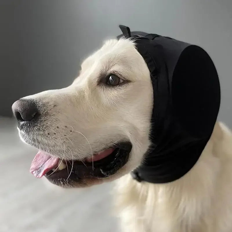 Ohrenschützer für Hunde