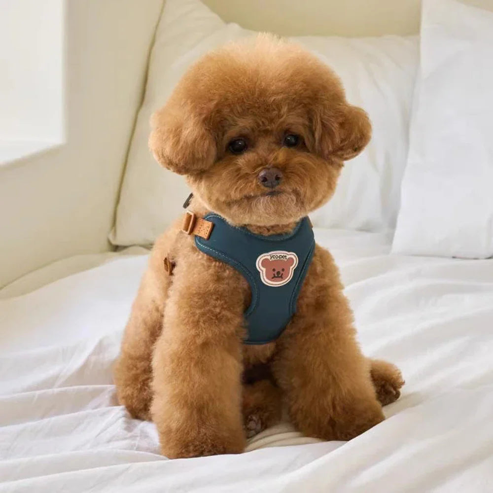 Niedliches und verstellbares Geschirr & Riemen für Komfort und Sicherheit