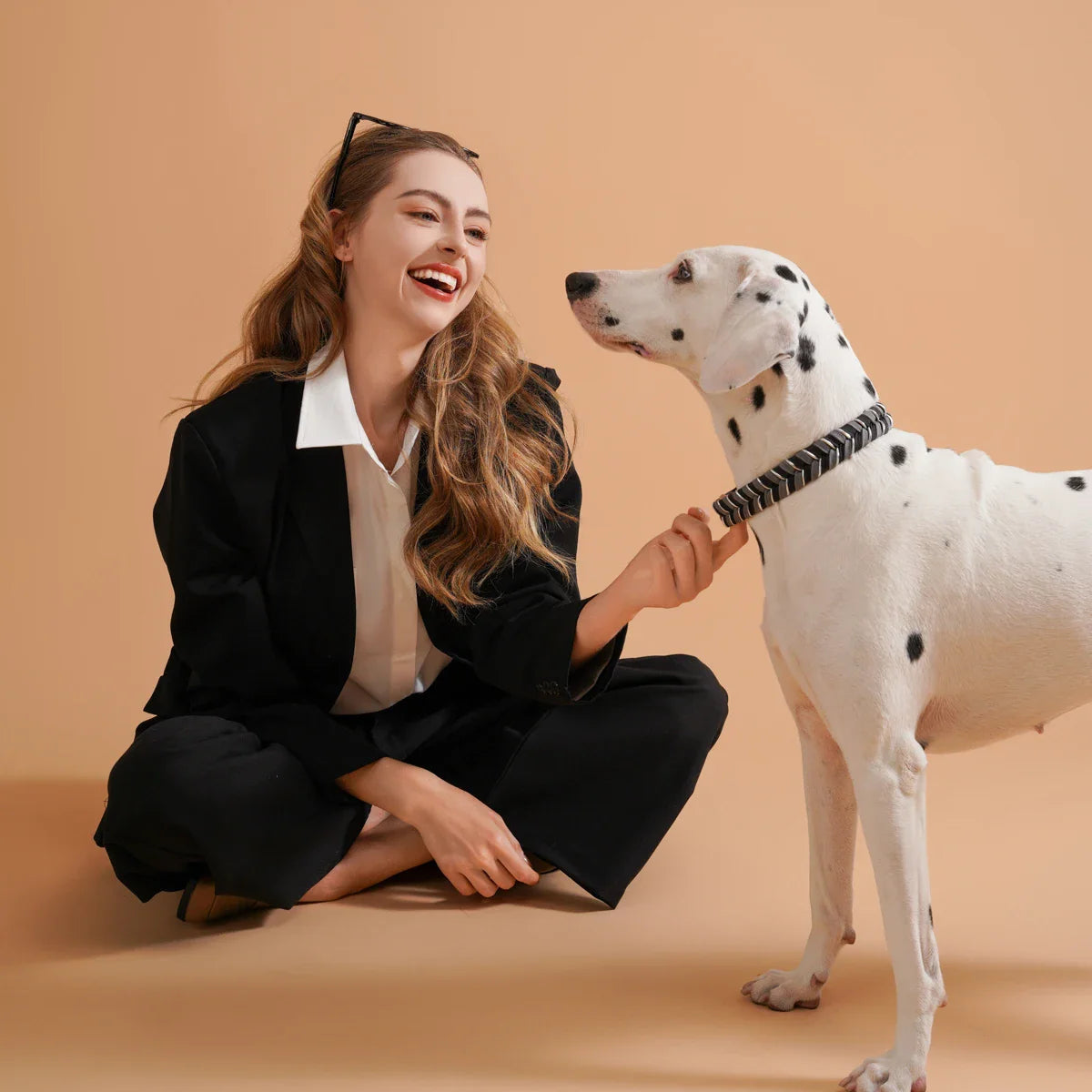 Lebendige und coole Hundehalsbänder für jeden abenteuerlustigen Hund