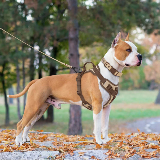 Luxus verstellbares Hundegeschirr für kleine und große Rassen