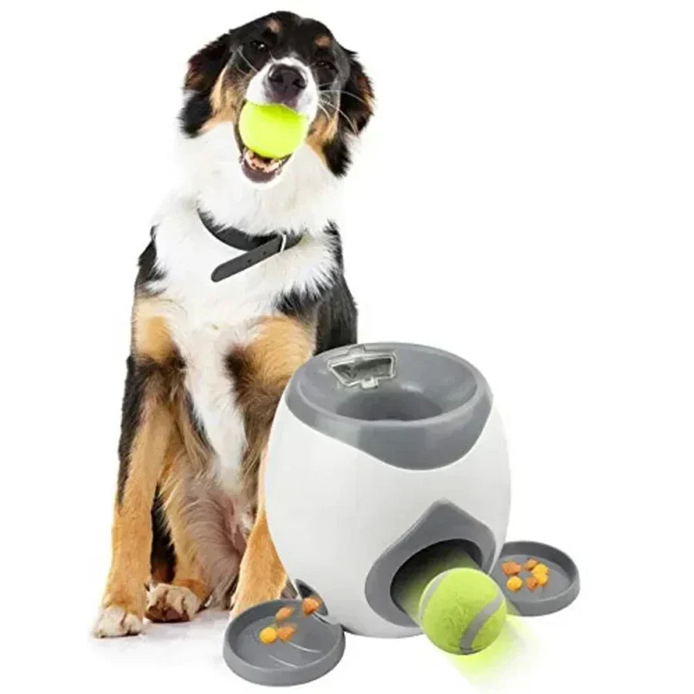 Automatischer Spielgefährte - körperliche und geistige Stimulation für endlosen Spaß