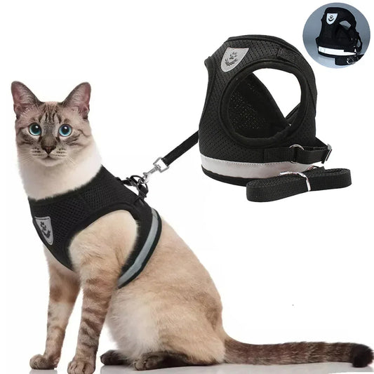 Verstellbares Katzen-Geschirr mit reflektierenden Details für zusätzliche Sicherheit