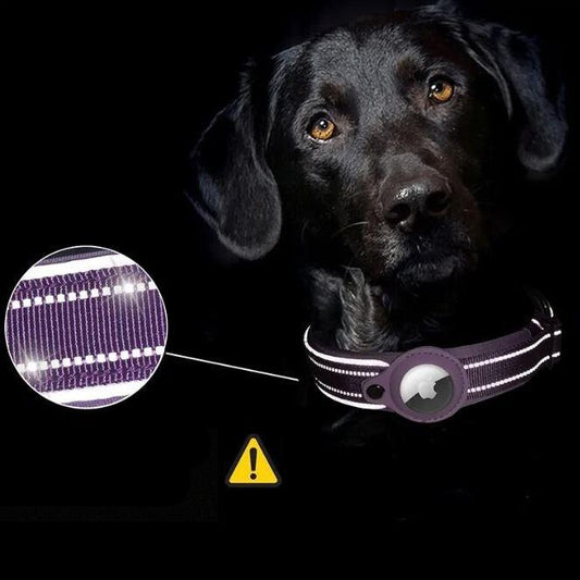 Ultra-sicheres und komfortables Haustierhalsband für ultimativen Schutz