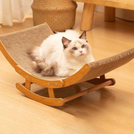 Krallige Katze