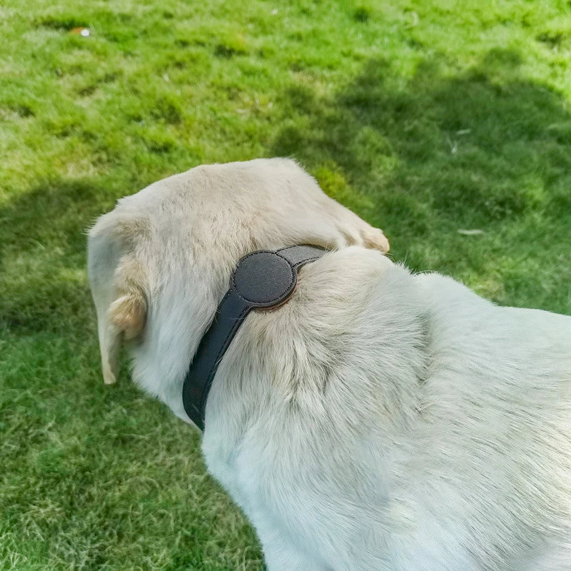 Stilvolles Hundehalsband mit integriertem Airtag-Halter für ultimatives Tracking