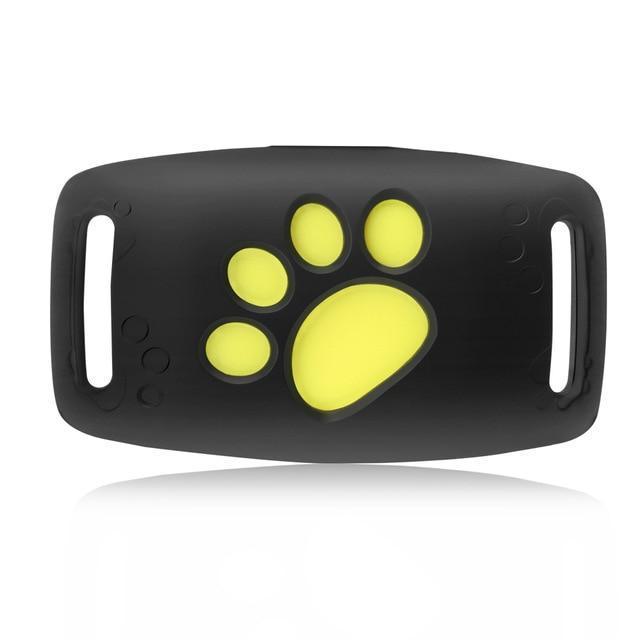 GPS-Tracking-System für Katzen mit Live-Tracking und Echtzeit-Updates