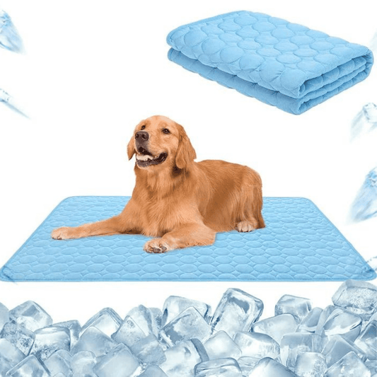Erfrischende und sichere selbstkühlende Matte für Hunde