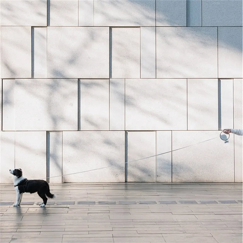 Ausziehbare Hundeleine für ultimative Kontrolle und Bequemlichkeit