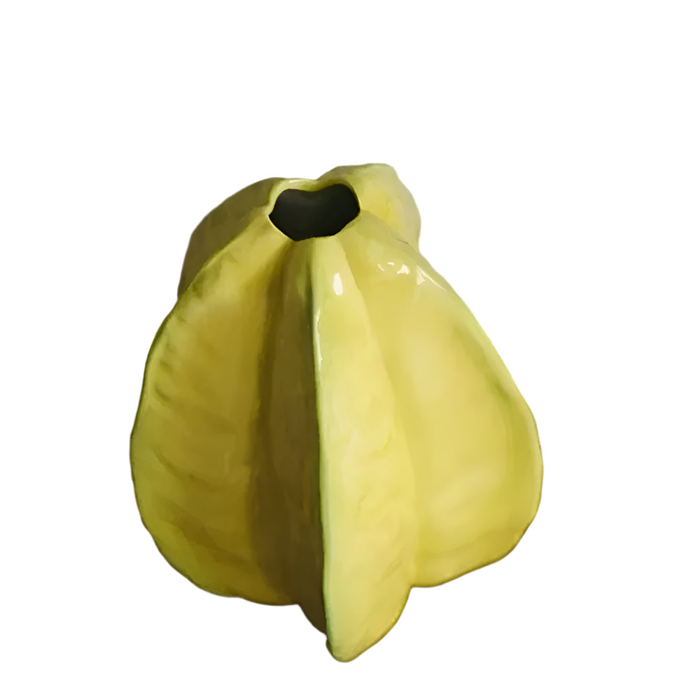 Nerithia - Handgemachte Keramik-Blumenvase im eleganten Sternfrucht-Design