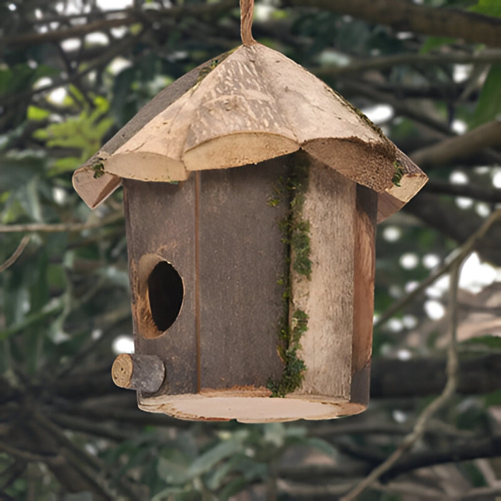 Domus - Charmantes rustikales Vogelhaus aus Holz mit Kolibri-Design