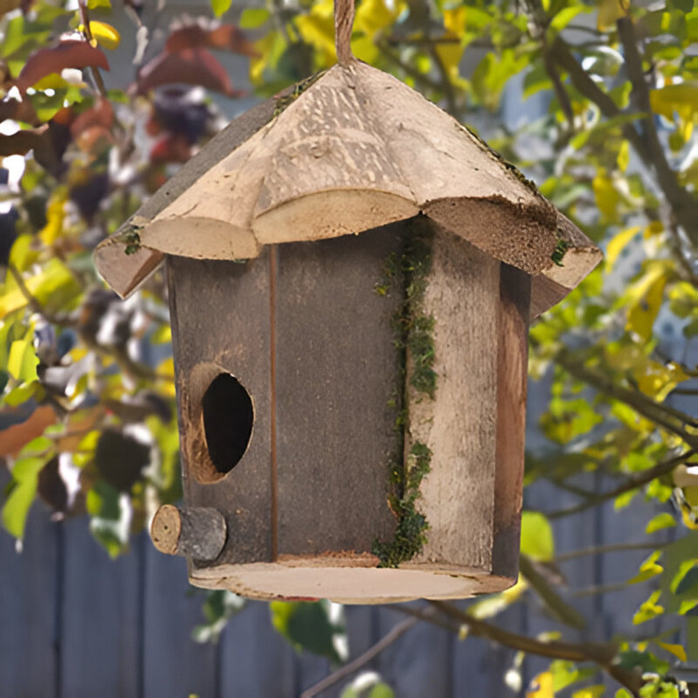 Domus - Charmantes rustikales Vogelhaus aus Holz mit Kolibri-Design