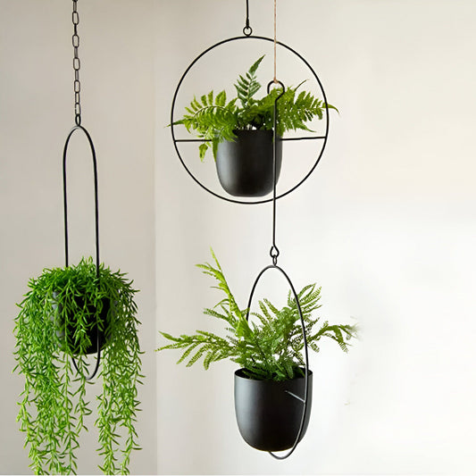 Caelessa - Schlanker und eleganter Wandpflanzer für ein modernes Interieur