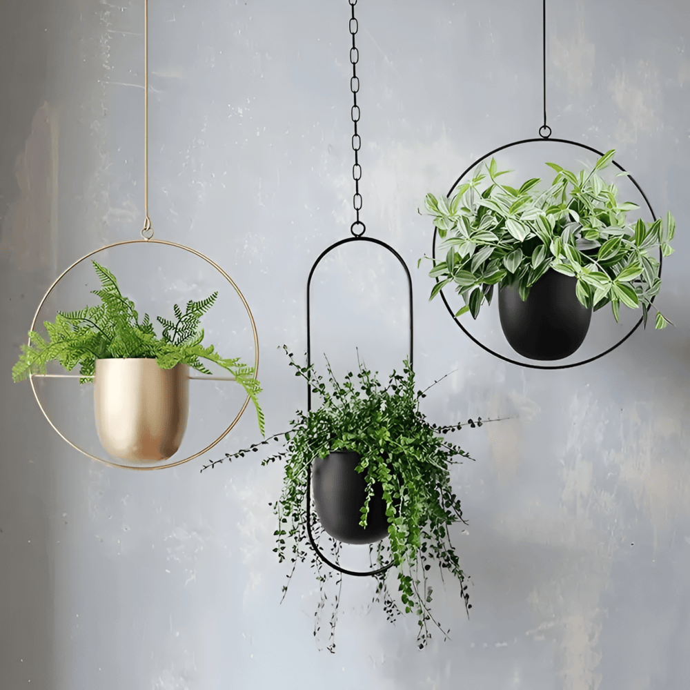 Caelessa - Schlanker und eleganter Wandpflanzer für ein modernes Interieur