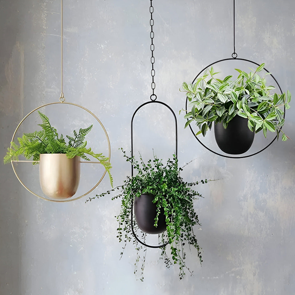 Caelessa - Schlanker und eleganter Wandpflanzer für ein modernes Interieur