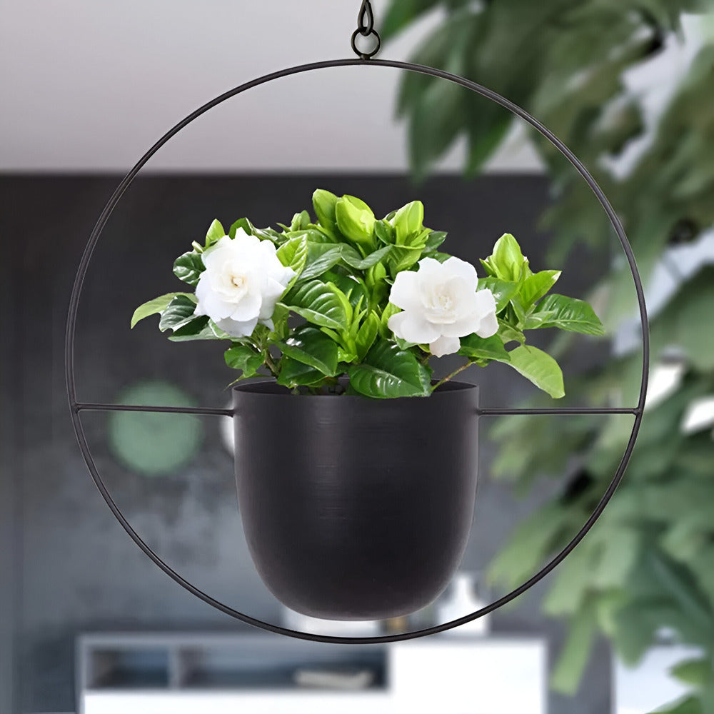 Caelessa - Schlanker und eleganter Wandpflanzer für ein modernes Interieur