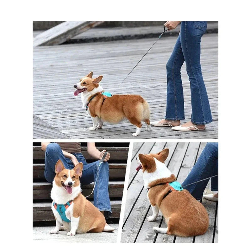 Bequemer Hundegeschirr mit verstellbarer Leine und atmungsaktivem Design