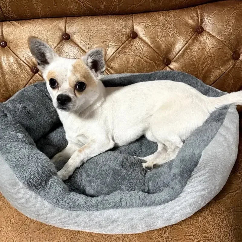 Bequemes warmes Hund- und Katzenbett