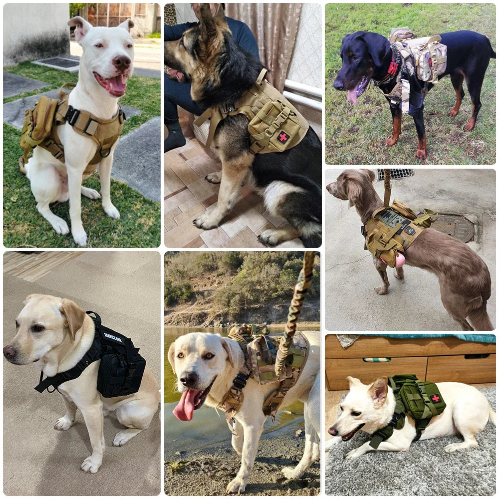 Bequemer taktischer Hundegeschirr mit Leine für sicheres und stilvolles Spazierengehen