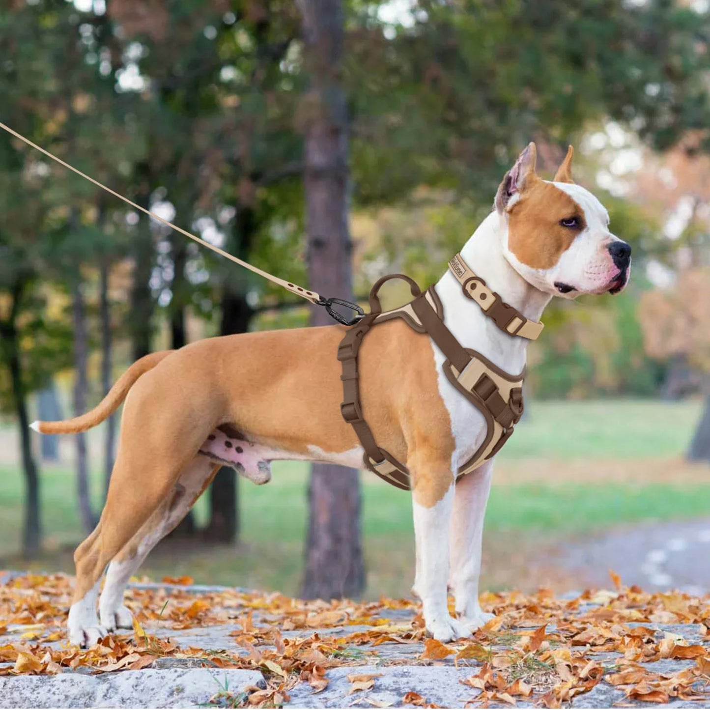 Luxus verstellbares Hundegeschirr für kleine und große Rassen