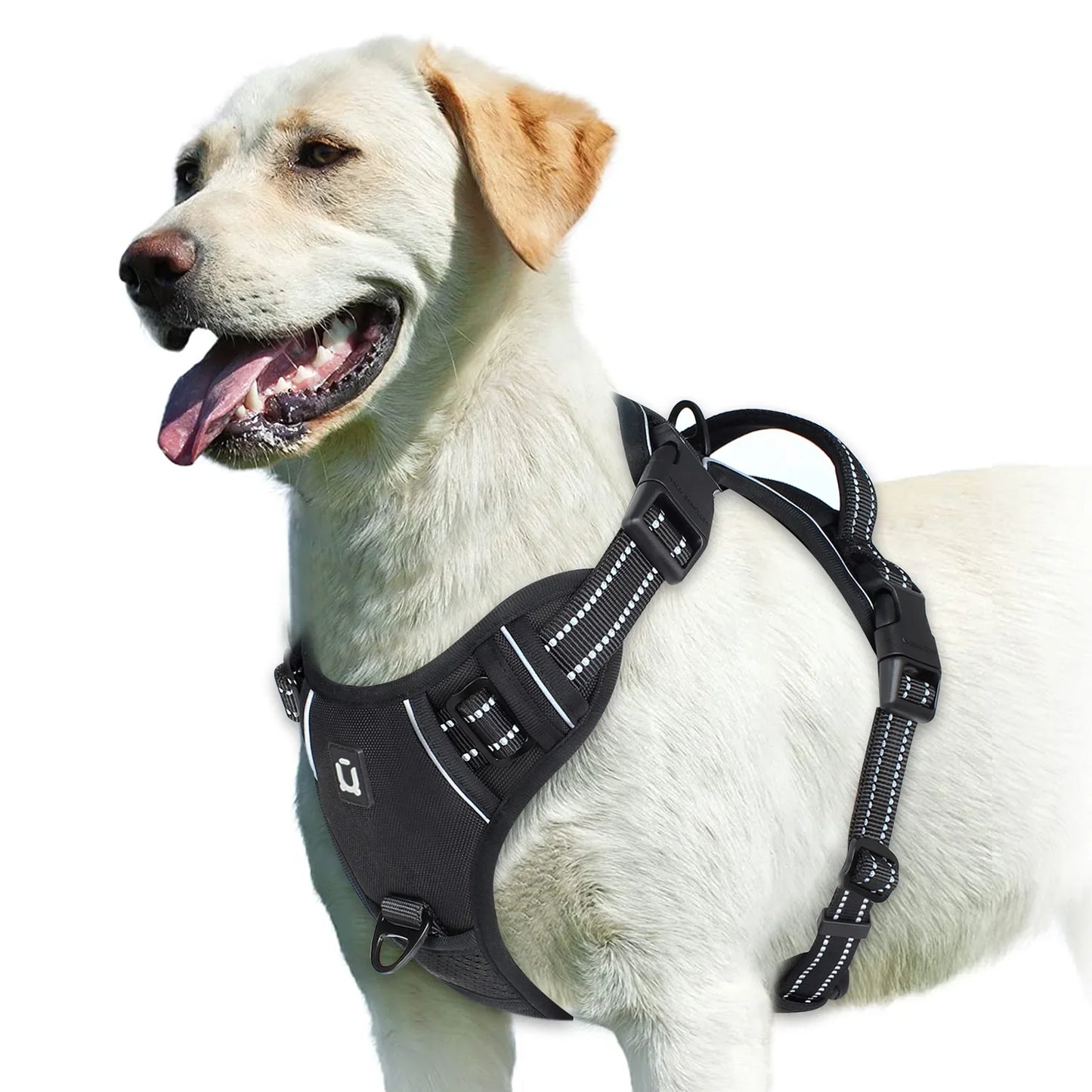 Verstellbares Hundegeschirr für ultimativen Komfort und Sicherheit