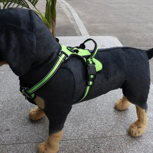 Verstellbares Nylon-Hundegeschirr für Komfort und Sicherheit