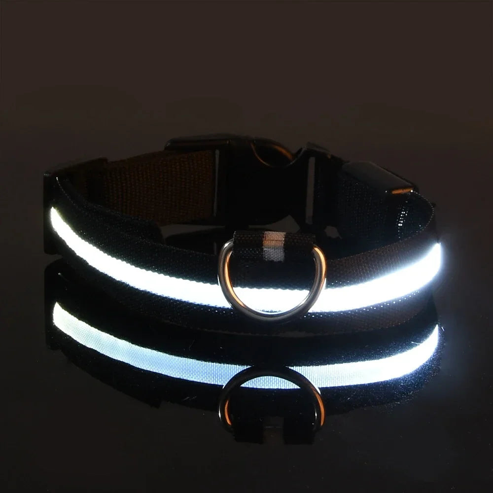 Luxus LED-Hundehalsband für ultimative Nachtsicherheit