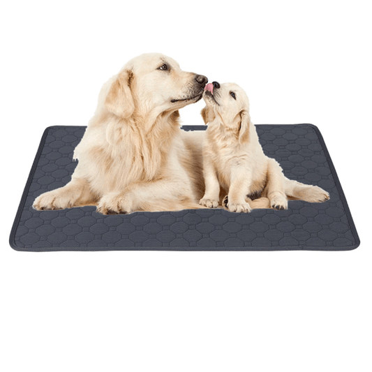 Wiederverwendbare Urin-Trainingsmatte für Hunde für einfaches und hygienisches Training