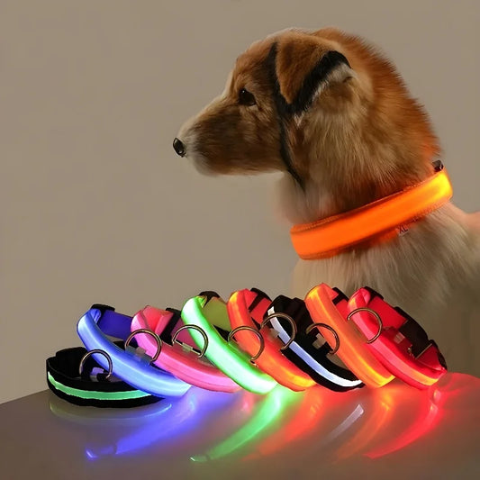 Luxus LED-Hundehalsband für ultimative Nachtsicherheit