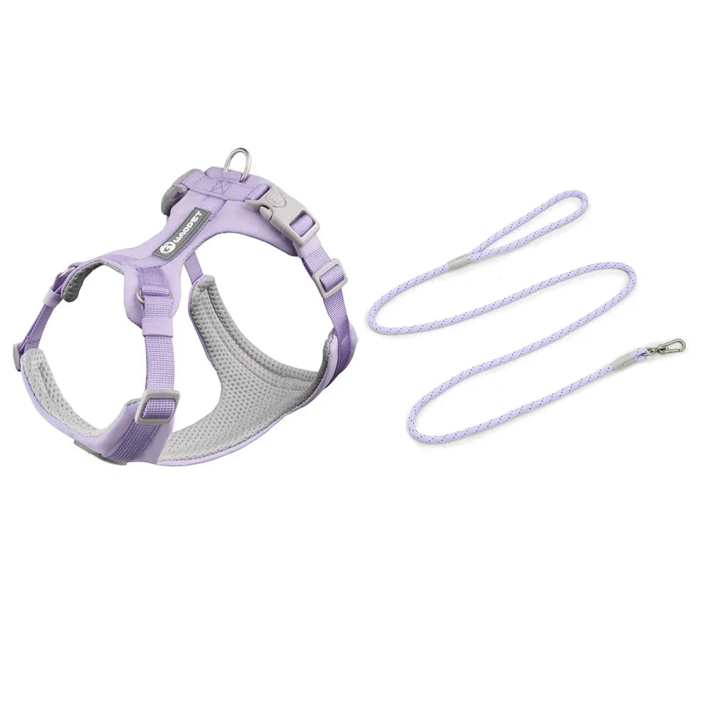 Ultimatives Geschirr- und Seilset für Outdoor-Training und Abenteuer