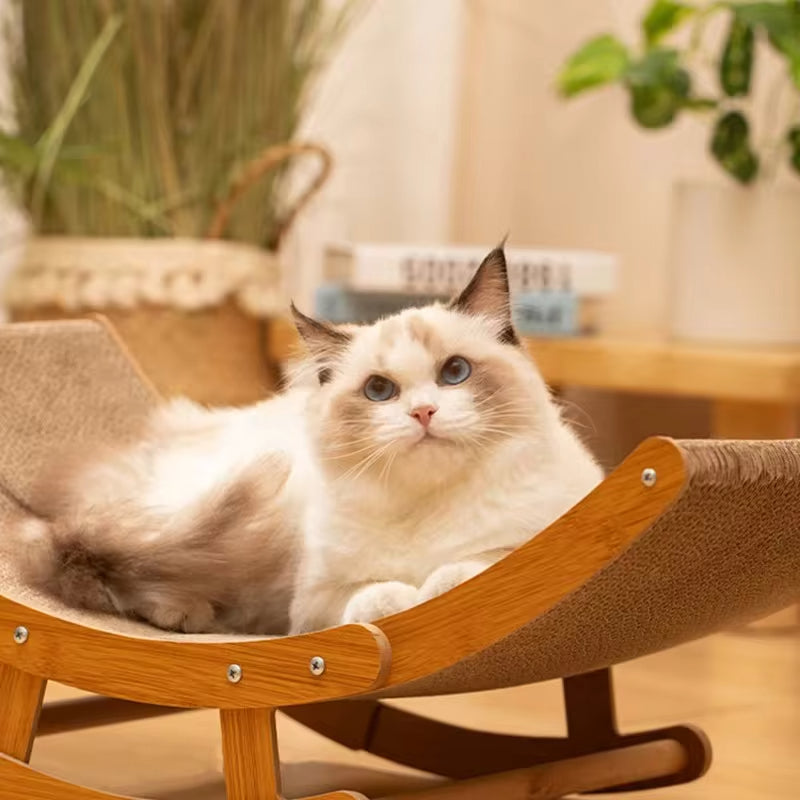 Krallige Katze