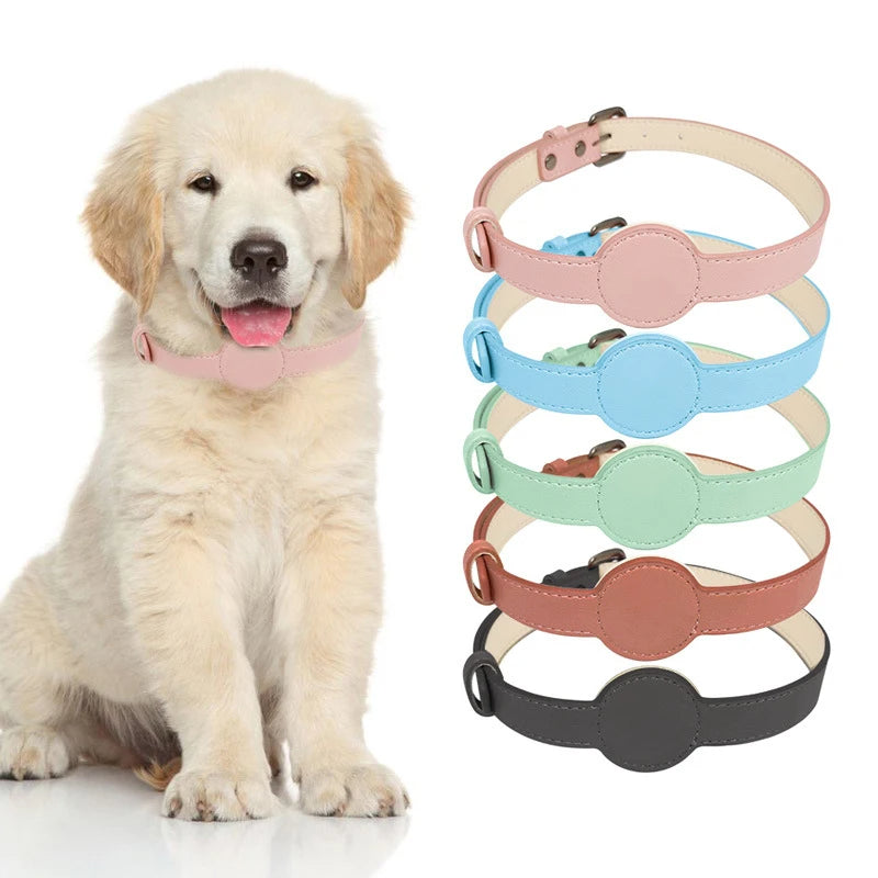 Stilvolles Hundehalsband mit integriertem Airtag-Halter für ultimatives Tracking