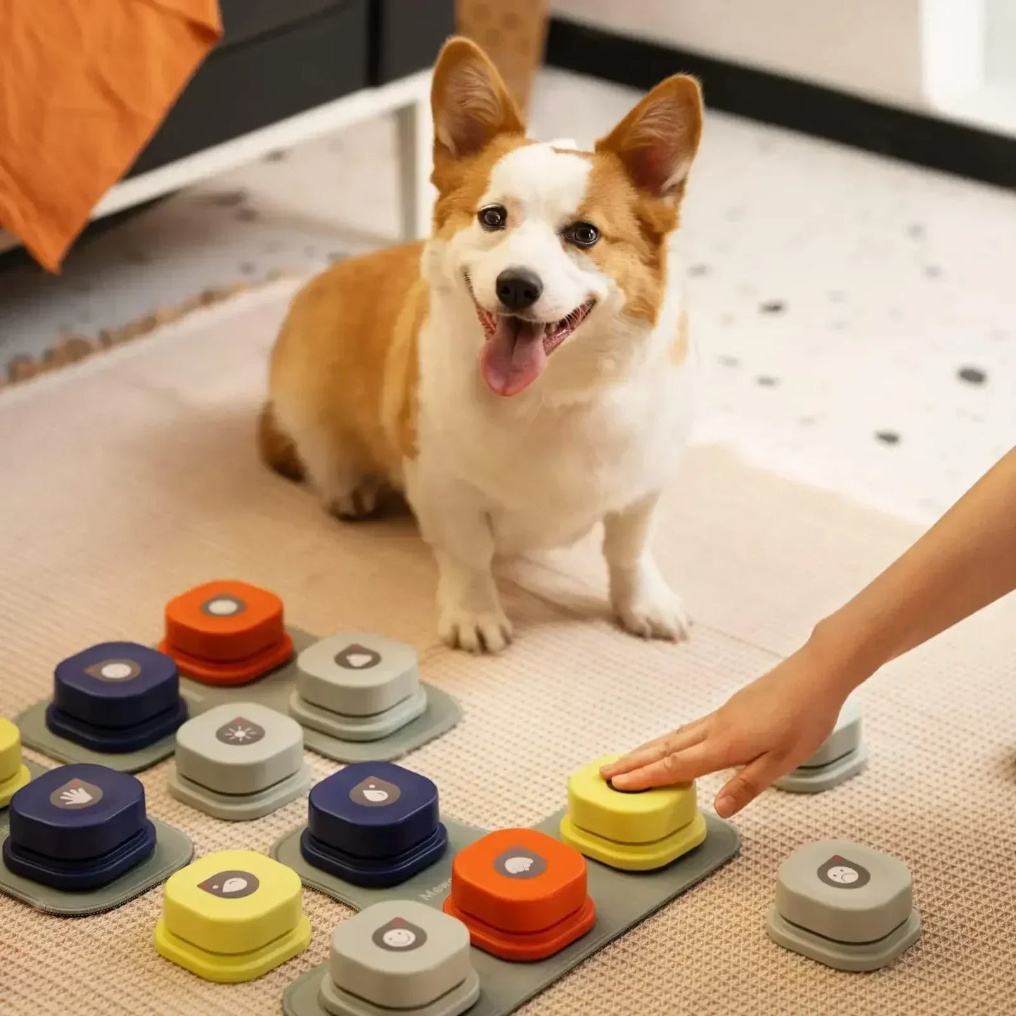 Animations-Button-Set für bessere interaktive Kommunikation mit Hunden